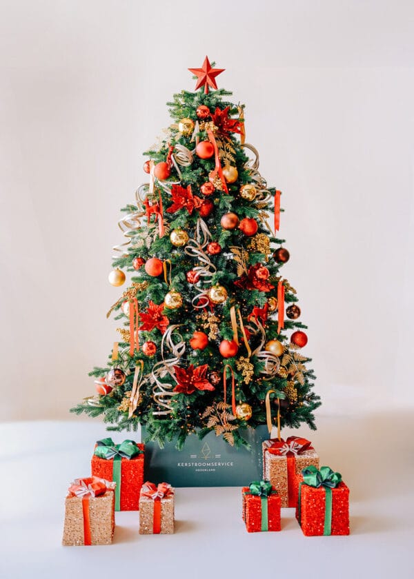 Royal Christmas A170