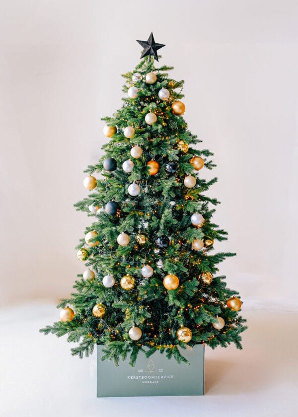 Christmas in the city B210