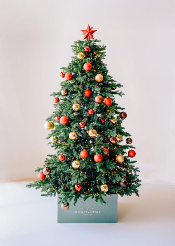 Royal Christmas B270