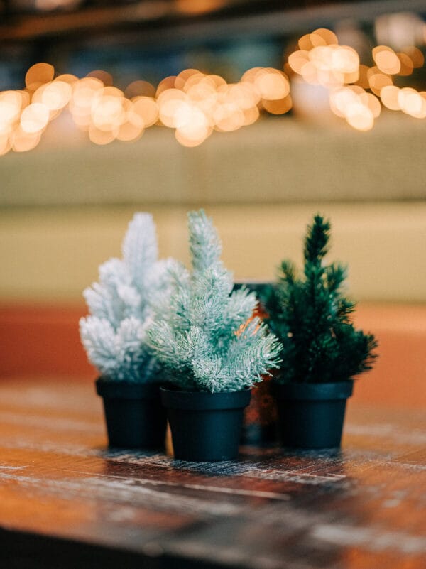 Mini kerstboompje in potje voor op tafel (komt in assorti)