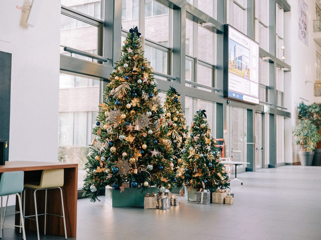 Gehuurde kerstdecoratie in publieke ruimte